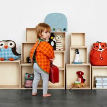 Girl-with-apron-and-book-cases