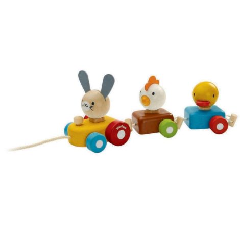 trenino degli animali da tirare – Animal Train Sorter PlanToys