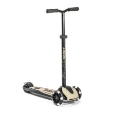 scoot & ride hwk5