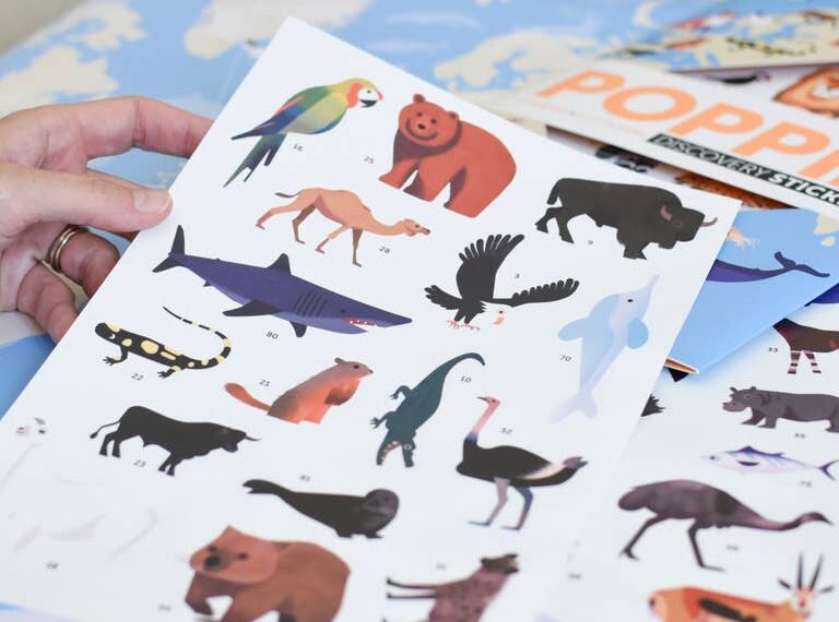 Giochi per bambini alla scoperta degli animali