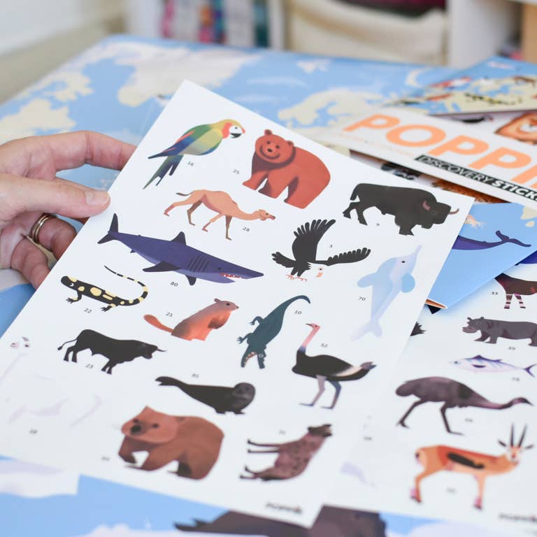 Giochi per bambini alla scoperta degli animali