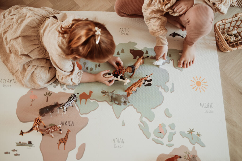 AMA E WORLDMAP EEVAA PLAY&GO