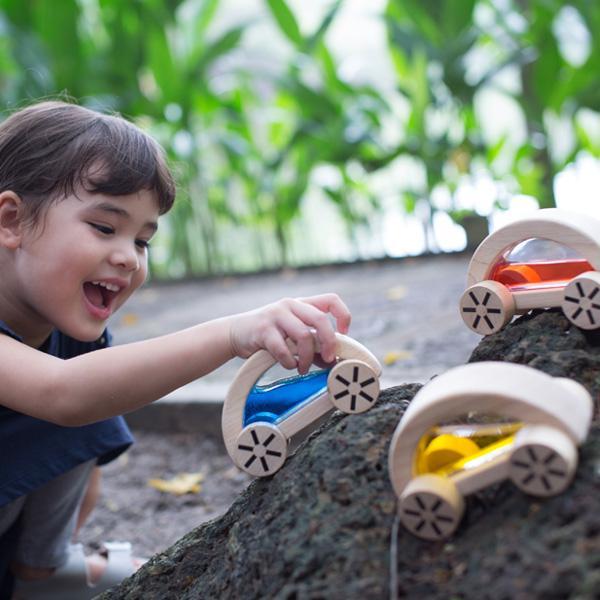PLANTOYS E AMA IDEE NATALE