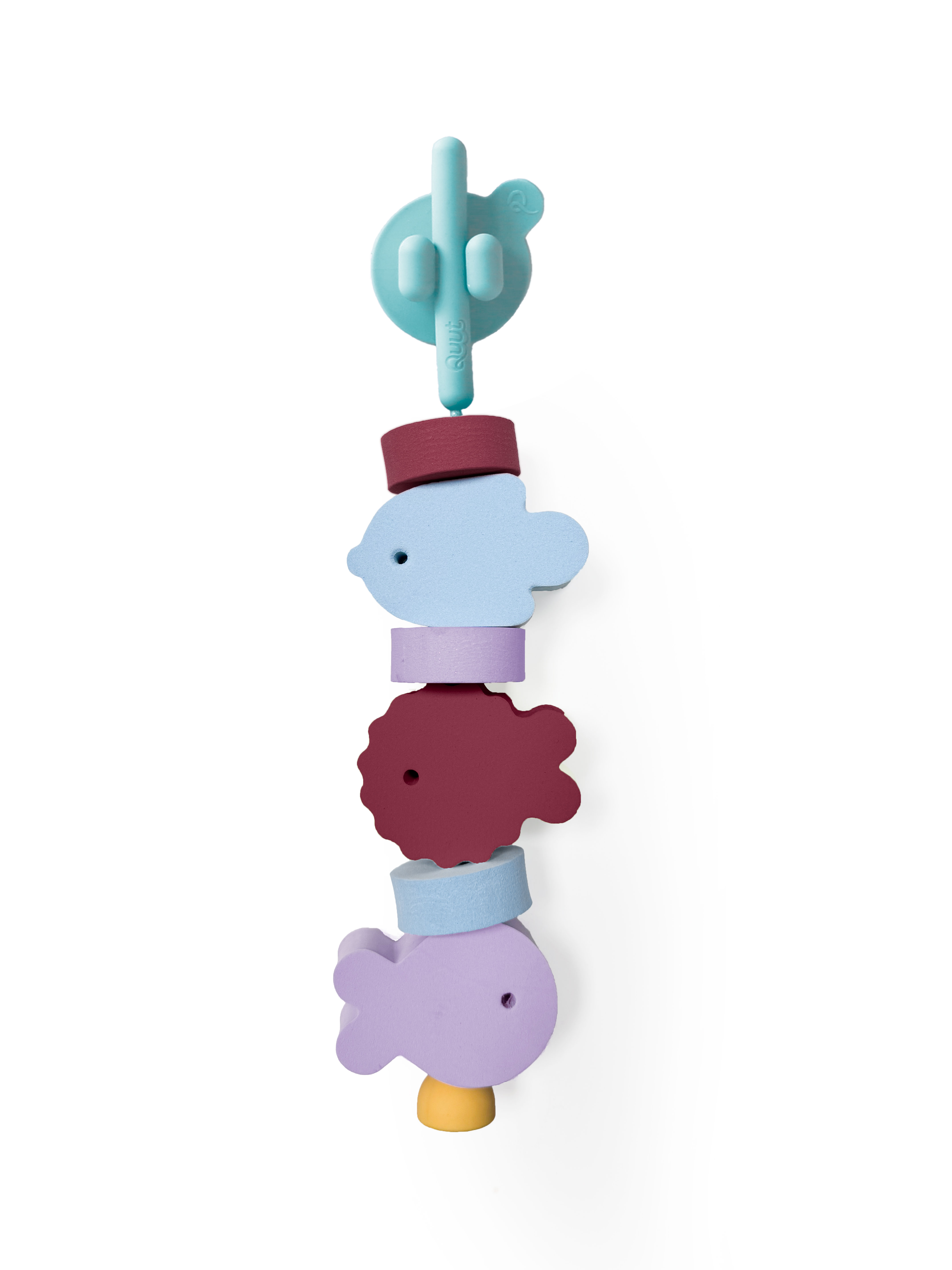 QUUT E OLI & CAROL NOVITà 2025 AMA