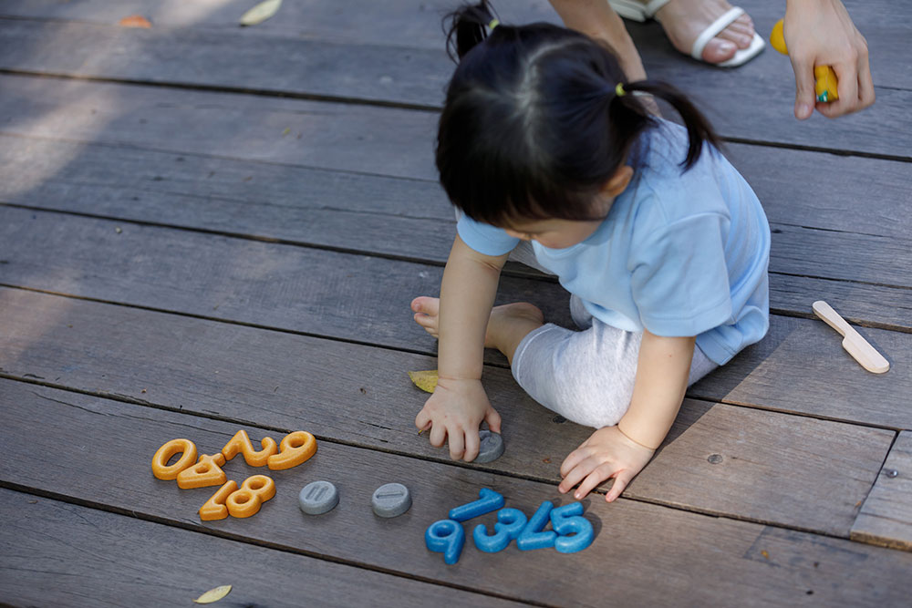 PLANTOYS E AMA IDEE NATALE