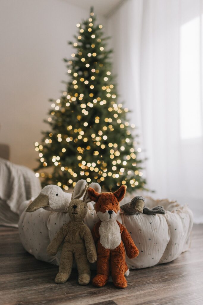 PLAY & GO NATALE AMA